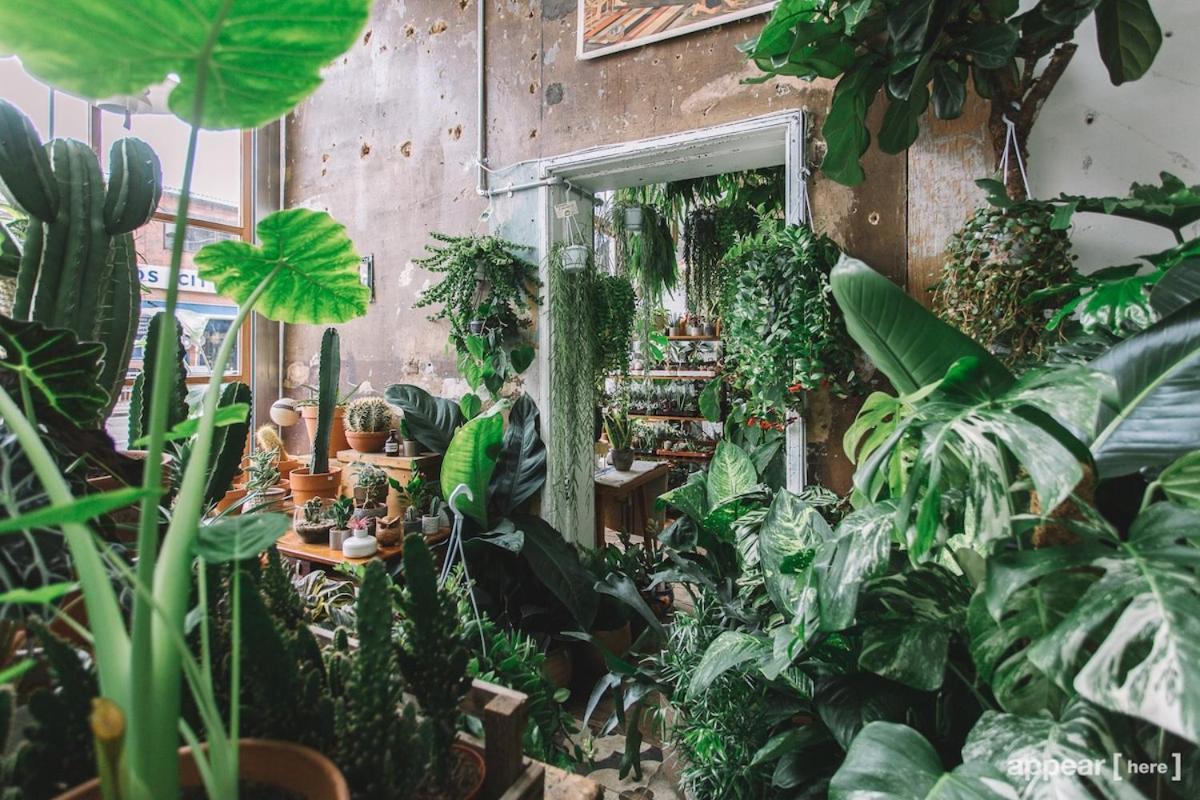 Stylish Georgian Loft 3Beds In Londonアパートメント エクステリア 写真